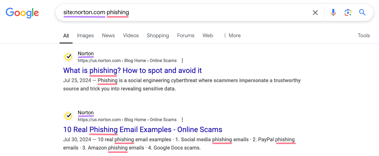 “Search. Like “Site: Norton.com Phishing”: "A search for the expression" phishing "specifically on the domain"