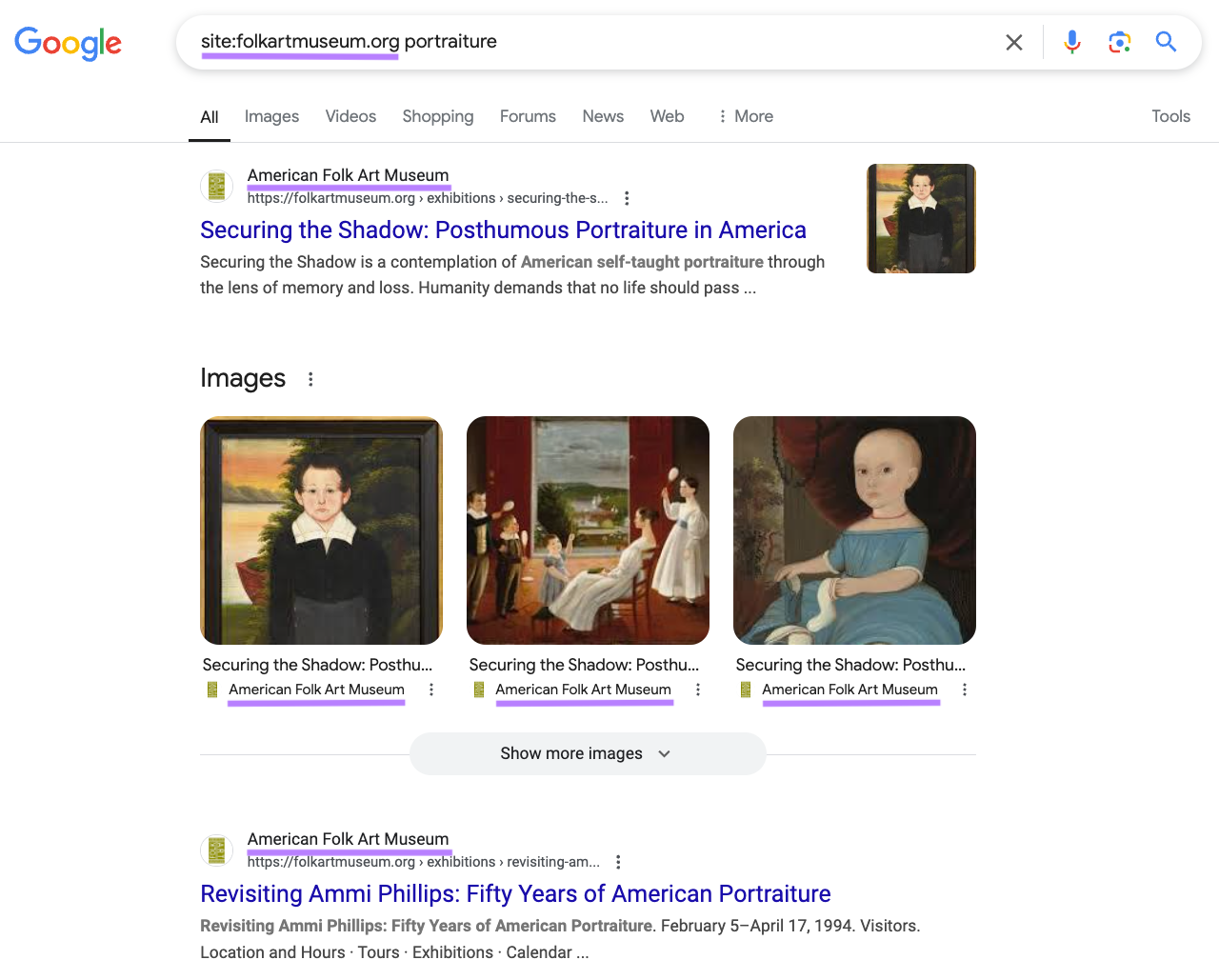 The search engine results (SERPs) show only relevant results from folkartmuseum.org. "A search for the expression" Portraits "specifically on the domain"