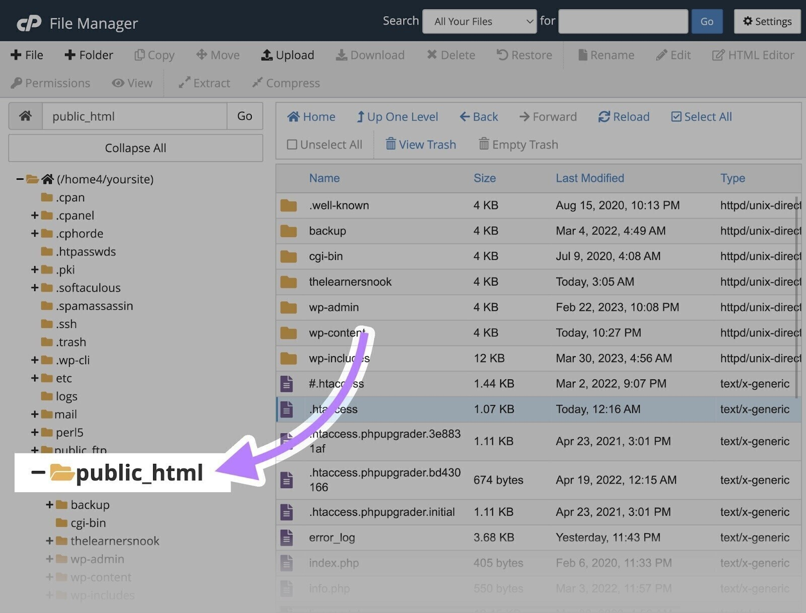 A site's root directory opens by clicking "Public_html" on files.